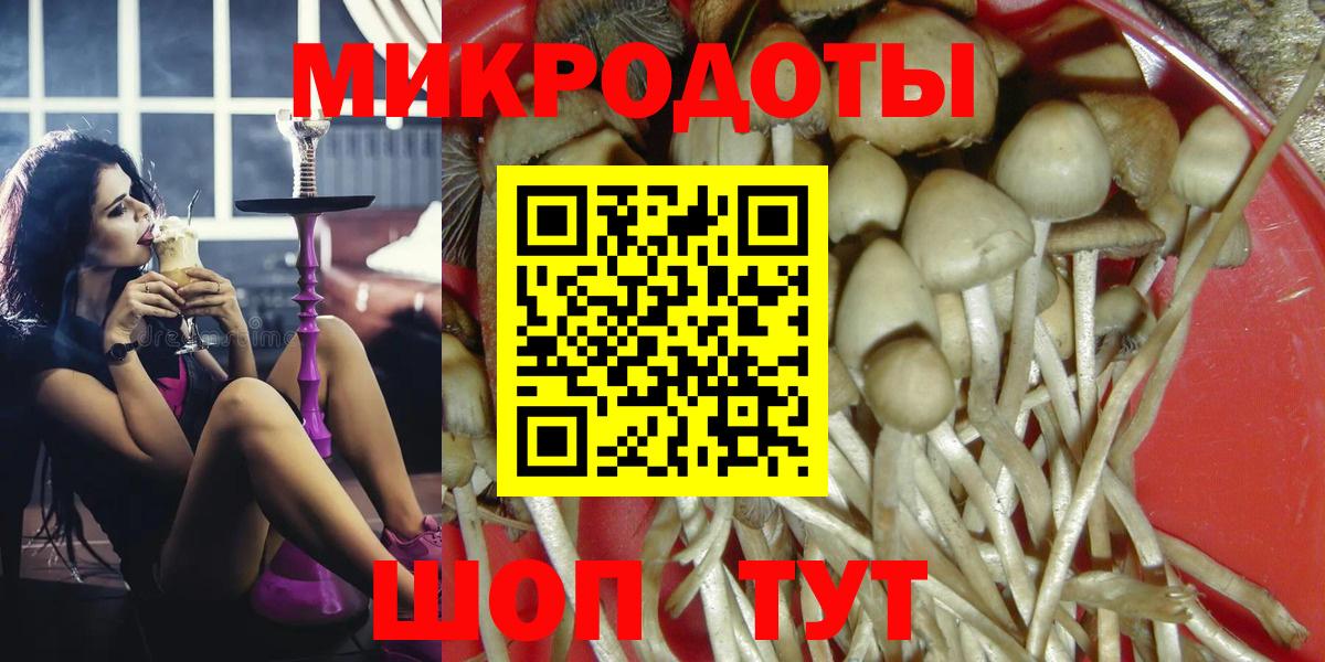 Псилоцибиновые грибы ЛСД  Касимов  наркошоп  Галлюциногенные грибы Psilocybe 
