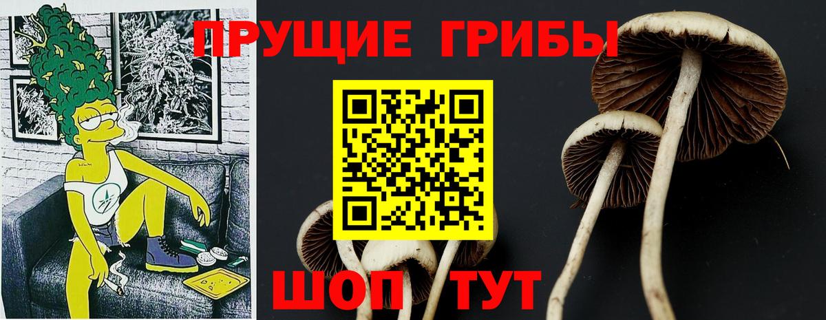 Галлюциногенные грибы Magic Shrooms  Вход с VPN  Касимов 