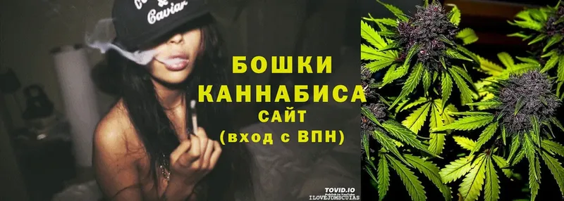 Бошки марихуана OG Kush  площадка официальный сайт  Касимов 